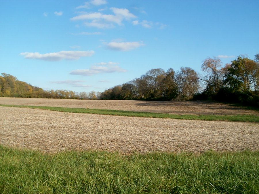 FARMLAND AUCTION - 122+/- ACRES IN 4 TRACTS FROM 22-43 ACRES IN FAYETTE COUNTY, INDIANA